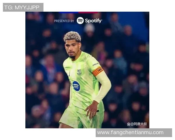 足球巨星魅力全解：从球场荣耀到个人生活的全面解析